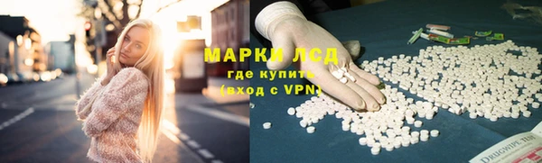 сатива Баксан